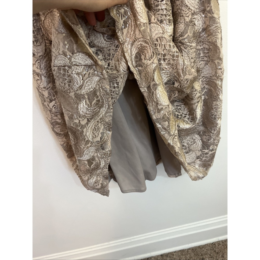 Alex Evenings Metallic Champagne Lace Fit-and-Flare Midi Dress - Picture 5 of 10